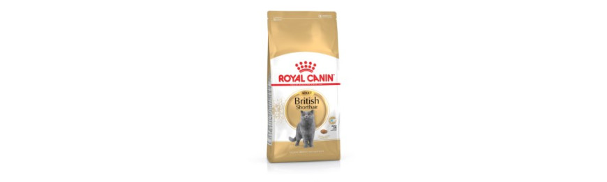 Royal Canin 純種系列 貓乾糧
